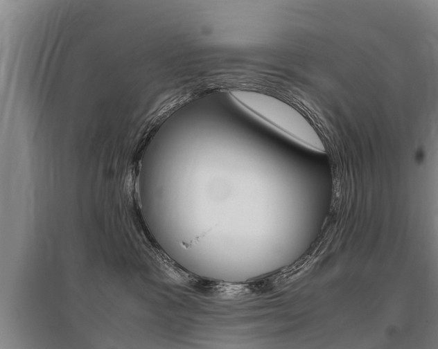 X0000095890333200801110834