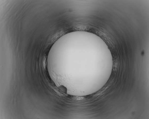 X0000095890334200801110834