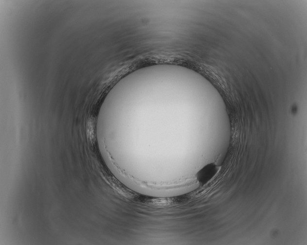 X0000095890335200801110834