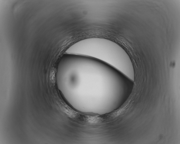 X0000095890336200801110834