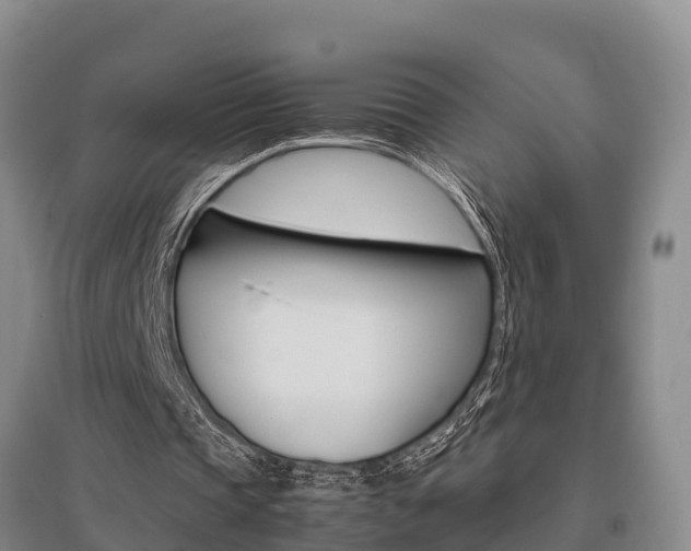 X0000095890337200801110834