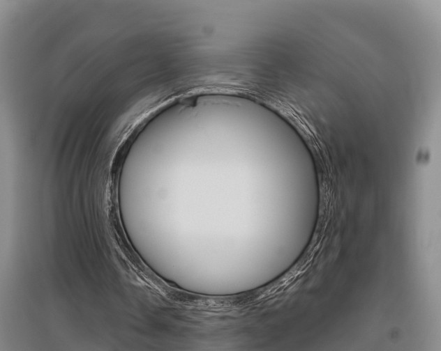 X0000095890338200801110834