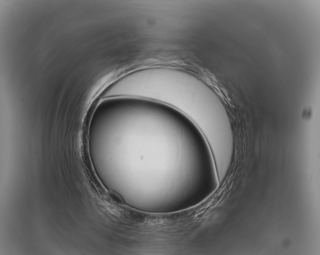 X0000095890340200801110834