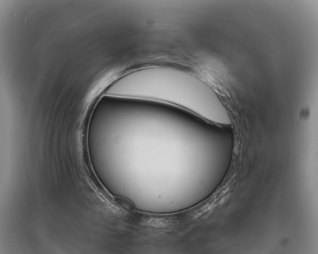 X0000095890341200801110834
