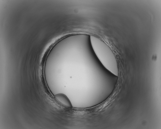X0000095890342200801110834