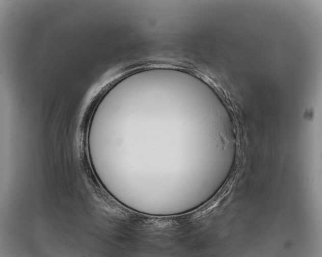 X0000095890343200801110834