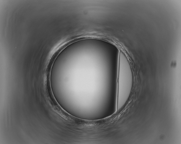 X0000095890344200801110834