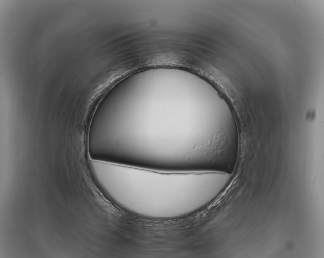 X0000095890345200801110834