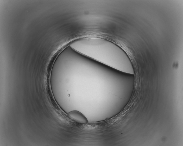 X0000095890346200801110834