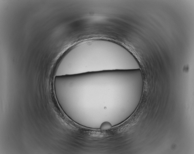 X0000095890347200801110834