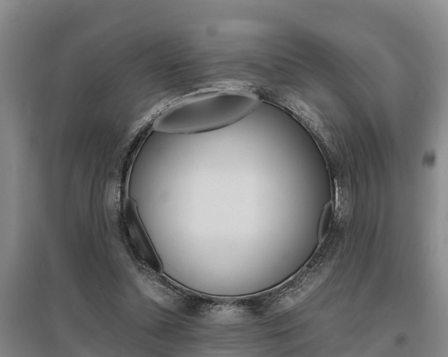 X0000095890348200801110834