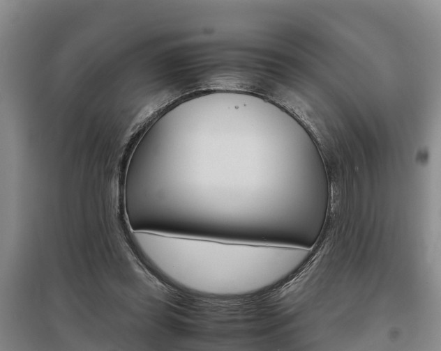 X0000095890349200801110834