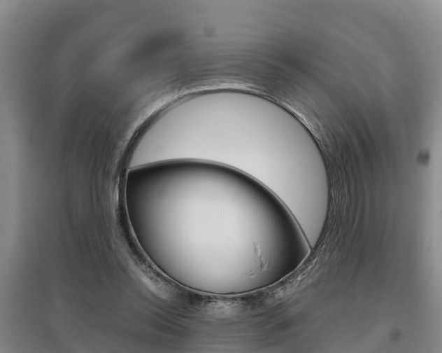 X0000095890350200801110834