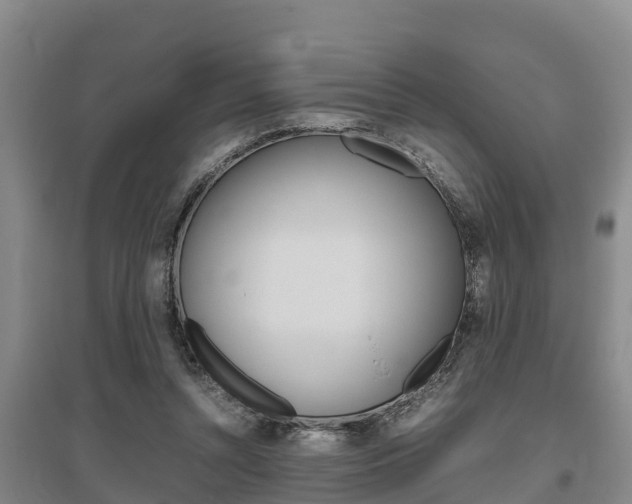 X0000095890352200801110834
