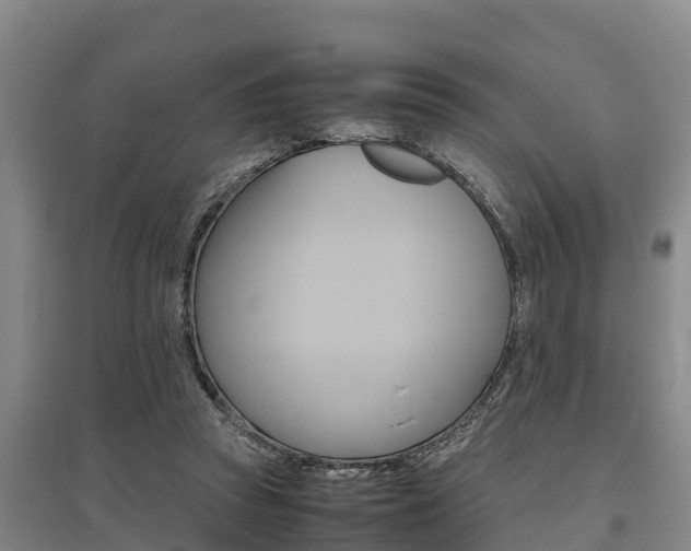 X0000095890353200801110834