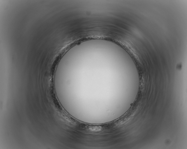 X0000095890355200801110834