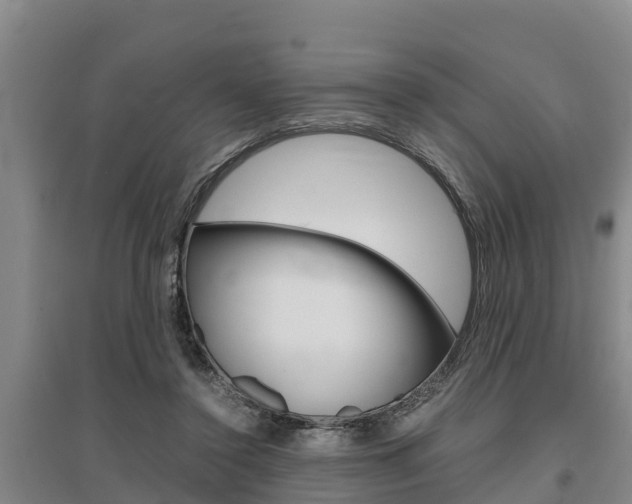 X0000095890356200801110834