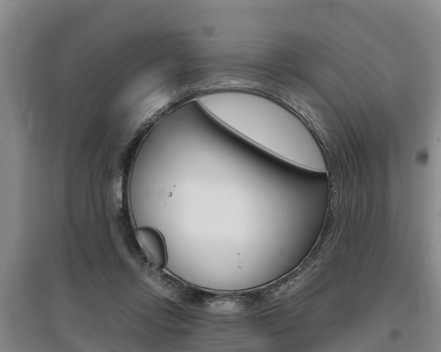 X0000095890358200801110834