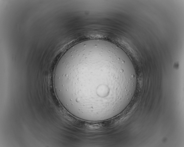 X0000095890359200801110834