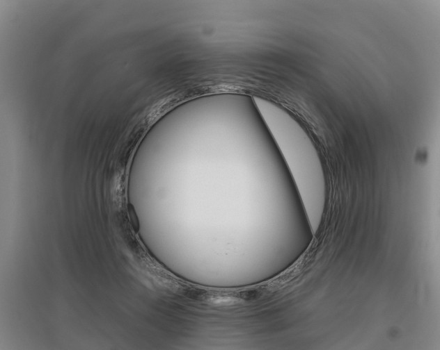 X0000095890360200801110834