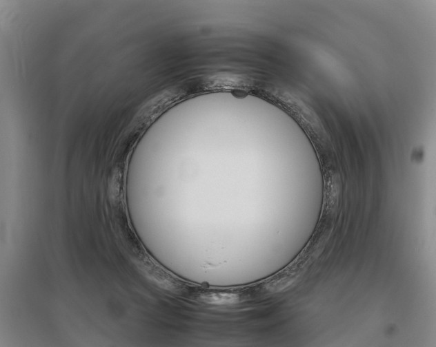X0000095890361200801110834