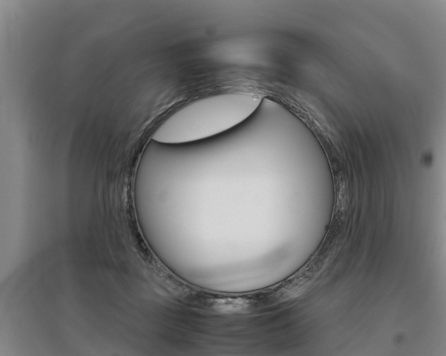 X0000095890363200801110834