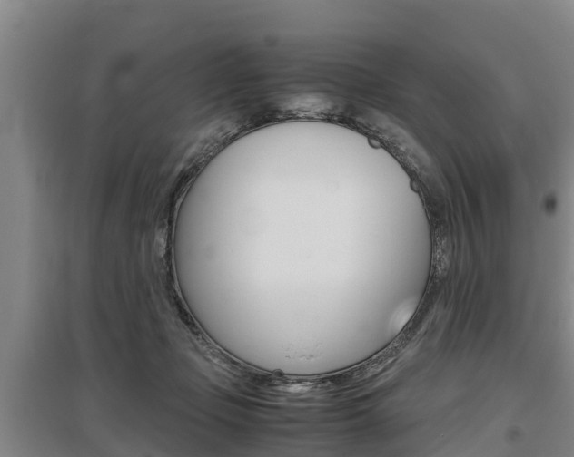 X0000095890365200801110834