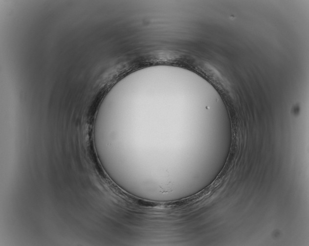 X0000095890366200801110834