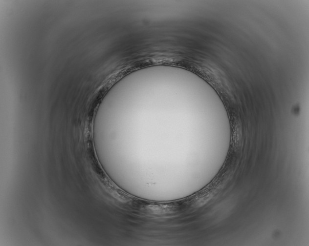 X0000095890367200801110834