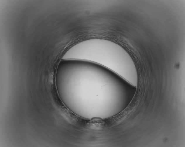 X0000095890368200801110834