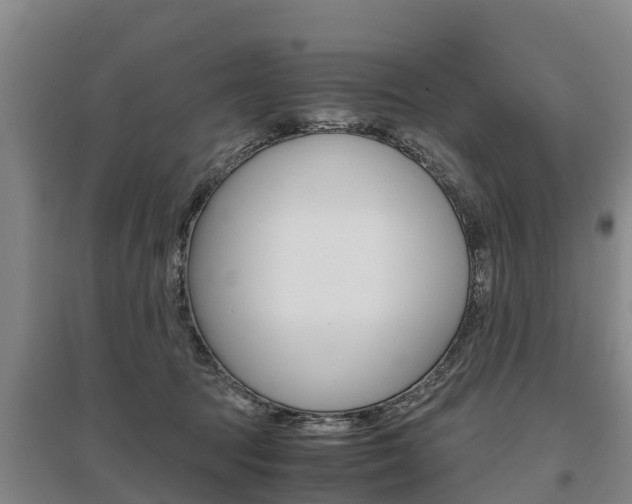 X0000095890369200801110834
