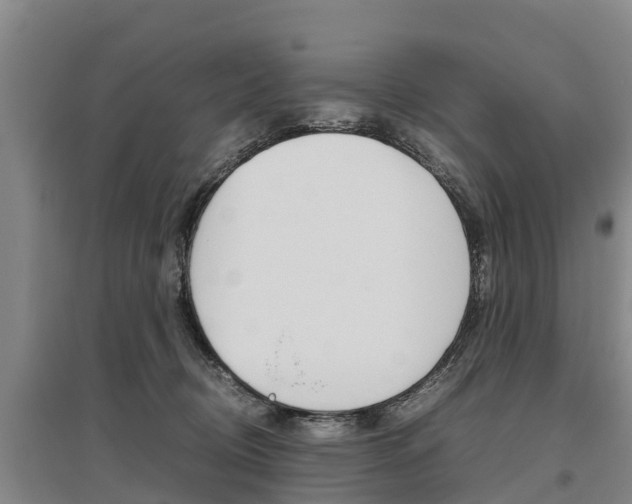 X0000095890370200801110834