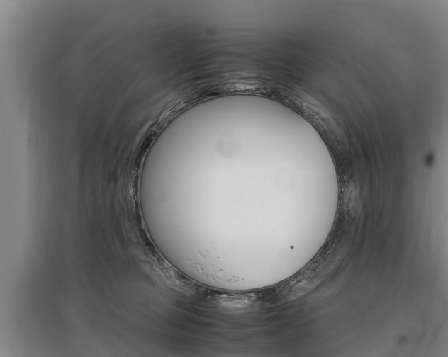 X0000095890373200801110834