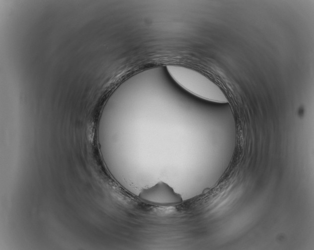 X0000095890374200801110834