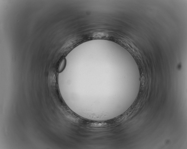 X0000095890375200801110834