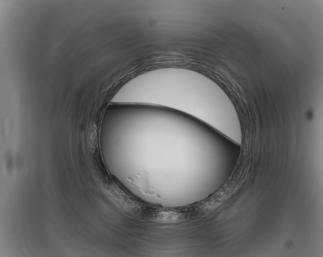 X0000095890376200801110834