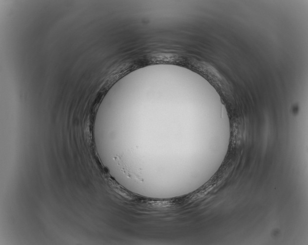 X0000095890377200801110834