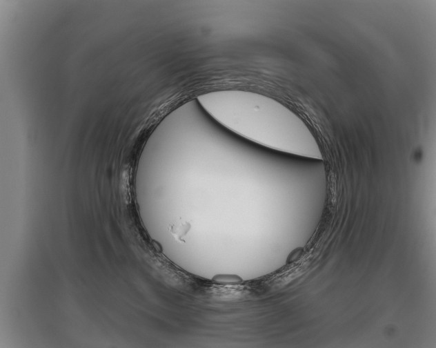 X0000095890378200801110834