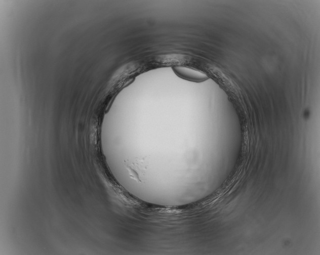 X0000095890379200801110834