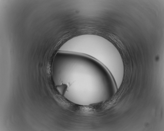X0000095890380200801110834