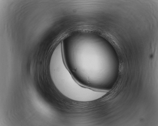 X0000095890382200801110834