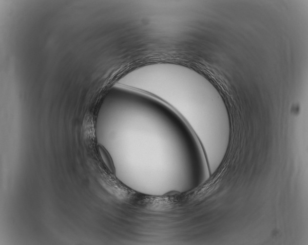 X0000095890384200801110834