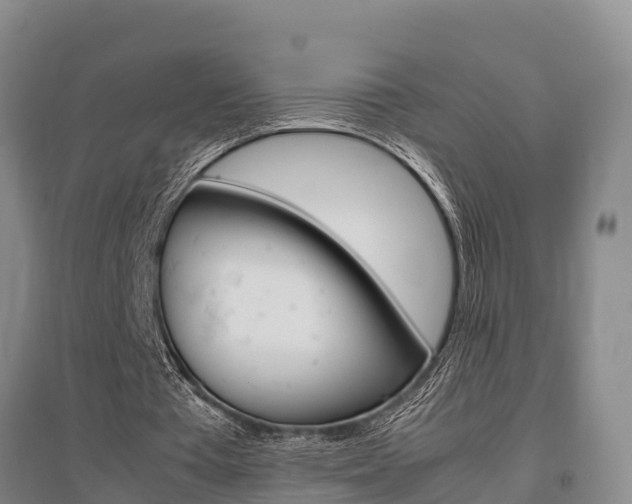 X0000095890385200801110834