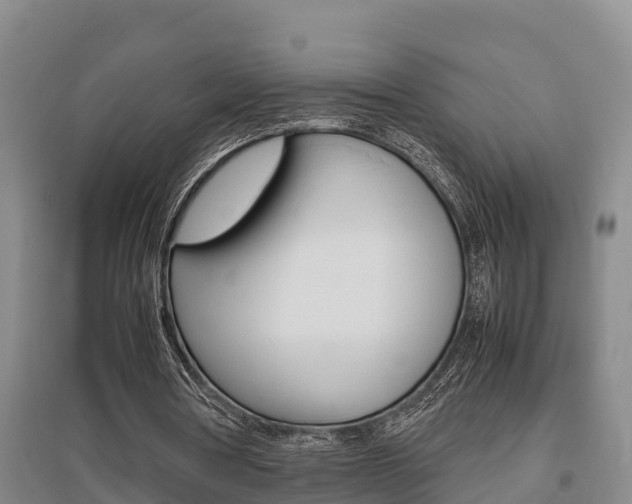 X0000095890386200801110834