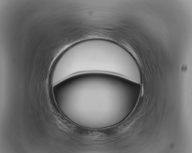 X0000095890387200801110834