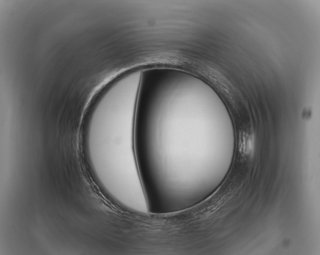 X0000095890388200801110833