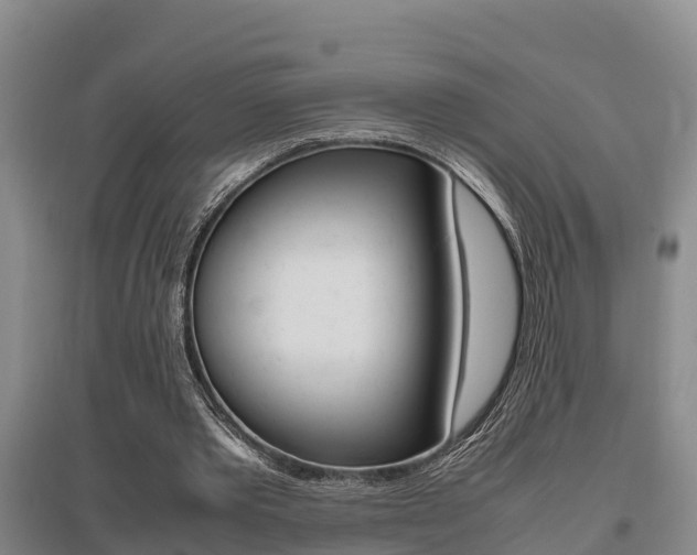 X0000095890389200801110833