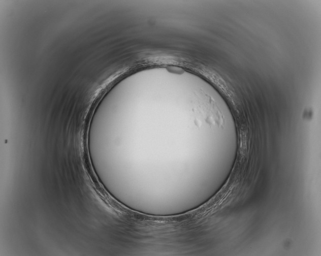 X0000095890390200801110833