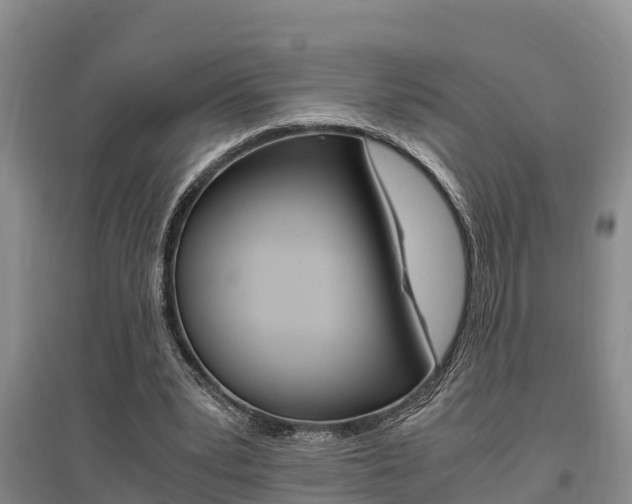 X0000095890391200801110833