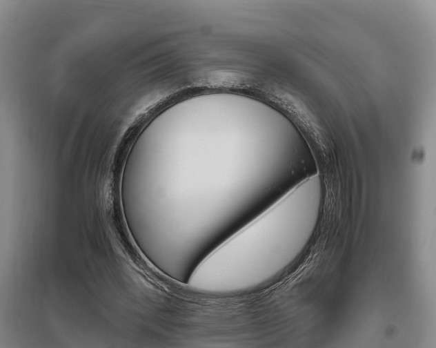 X0000095890392200801110833